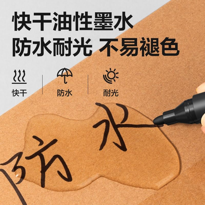 永久記號筆 黑色 10支裝